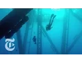 Lagu Turning Oil Rigs Into Reefs | The New York Times