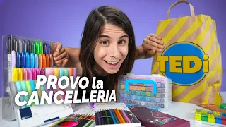 Ho comprato tutta la cancelleria di TEDi: vale davvero la pena? 🐸