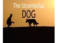 Download Lagu The Strumbellas - Dog (LYRICS)
