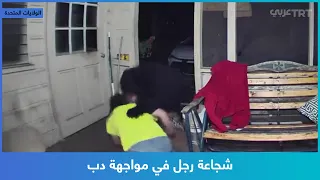 شجاعة رجل في مواجهة دب 