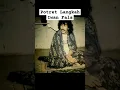 Download Lagu Foto-foto langkah Iwan Fals #nostalgia #shorts