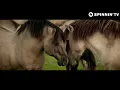 Don Diablo - Edge Of The Earth (Official Music Video)