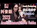 Download Lagu Anak Kampung Versi Hakka 村里的孩子 Hot Remix By Dj Brian Bie#DJ抖音版2022