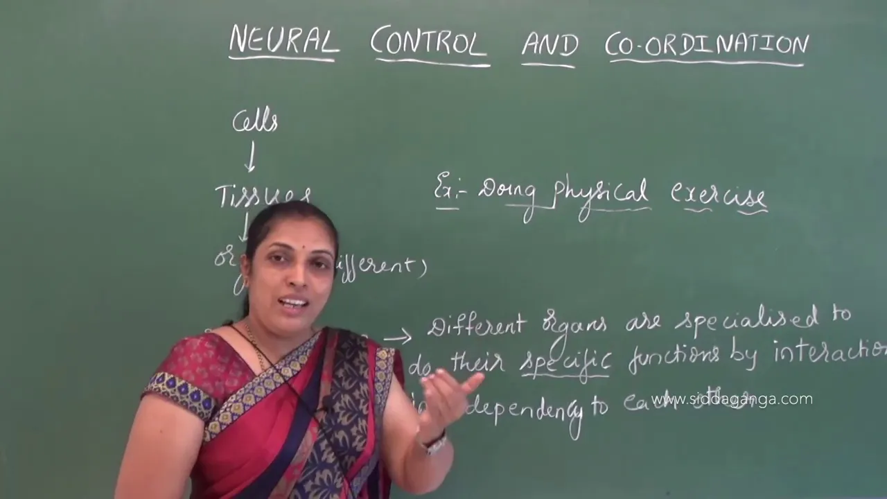 1 PUC - BIOLOGY - NEURAL CONTROL AND CO ORDINATION - PART 1