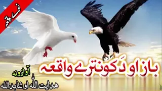 Baz Ao Kontara New Pashto Naat Raghla Kontara Da Asmana Nabi دہ باز او د کو نترے واقعہ خئستہ نظم 