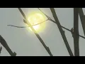 MBNEL — SHOOTING STARS (Slowed to Perfection)