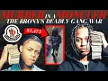 Murder in a Moncler The Bronx s Deadly Gang War