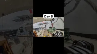 Day 8 sailing around the world without stopping. Shout out @ring for catching this on camera lol