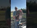 Fox Trot Ammo pattern testing