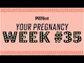 Your pregnancy 35 weeks