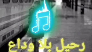 سعيد الموساوي و ليلى الغزواني رحيل بلا وداع 