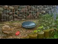 Download Lagu 1 Hour of Gentle Rain Drum Sounds – Sleep, Relax \u0026 Focus