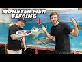 LARGEST AQUARIUM STORE IN NEW YORK TOUR Predatory Fins