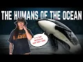 Why Are Orcas So Horrific ft Orcaman That We Know Of Lindsay Nikole