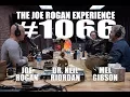 Download Joe Rogan Experience #1066 - Mel Gibson & Dr. Neil Riordan mp4 3gp mp3 videos - waplic