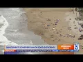 Unpermitted public picnics may be banned in San Clemente