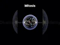 Mitosis Cell Division 3d animation animation