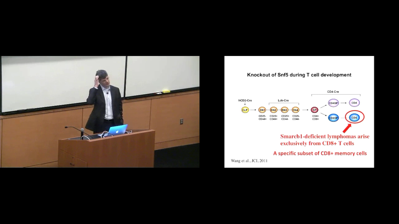 SWI/SNF (BAF) Complex Mutations in Cancer