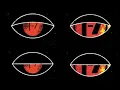 What If Breach Is The End but Also The Start Of The Dema Story TOP Theory Half Baked Homebrew