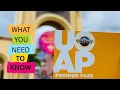 Universal Orlando s Annual Premiere Pass What you need to know
