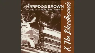 Download Home Is Where the Harp Is (Live) MP3
