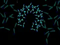 A new rangoli design using Python turtle Coding