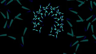 A new rangoli design using Python turtle Coding