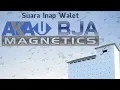 Download Lagu Walet Premium Internal Sound AKAU BJA MAGNETICS (Voice In Collocalia Vestita)