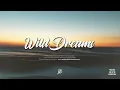Download Lagu Wizkid x burna boy x tems afroswing type beat - \
