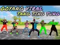 Download Lagu GOYANG TANG TING TUNG || AULIA PUTRI || TIKTOK VIRAL || RIAN TDM || ARUL ZIN