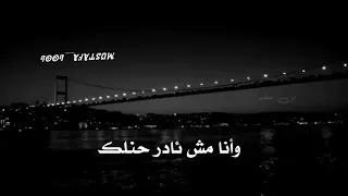 وائل كفوري بيحن للنغم الوتر بدون موسيقى 