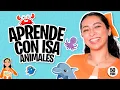 Aprende Peque con Isa - Animales del Agua Para Peques - Animals - Spanish Baby Learning