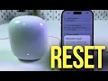 How to Factory Reset Your Google Nest Wifi Pro AXE5400 Router and Mesh Points