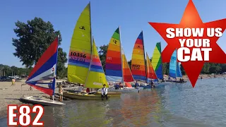 Show us your cat! Episode 82 Canada