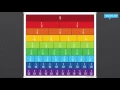 Fraction Strips