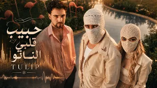                        تووليت  توليب   نانو دندنها
