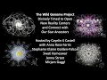 Lagu The Wild Genome Project Divinely Timed to open New Reality Centers \u0026 connect with our Star Ancestors