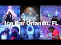 Orlando FL Ice Bar Experience Orlando NightLife Ice Sculptures Ice Fire Lounge Drinks