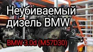 Download The legendary indestructible diesel engine BMW 3.0d (M57D30). Subtitles! MP3