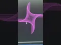 Making 3d animation by python