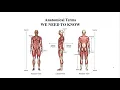 MBLEx Review Anatomical Terms WE NEED TO KNOW