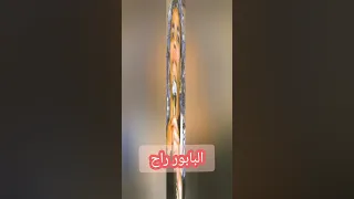 Cheikha Jennia الشيخة الجنية 