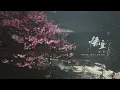 Download Lagu ‘戒网’ - Black Myth: Wukong OST