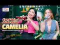 CAMELIA - AJENG FEBRIA \u0026 ADINDA RAHMA ft. OM NIRWANA | LIVE MUSIC | VERSI KOPLO