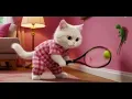 Download Lagu Cicak cicak di dinding diam diam merayap #kucingimut #kucinglucu #cat 
