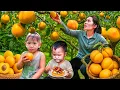 Download Lagu Harvesting Sour Plums with My Kids – Selling at the Market and Cooking Tomato Fish for Lunch