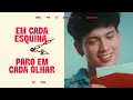 Léo Foguete - Words to the Wind (Visualizer)