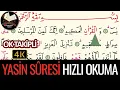 Download Lagu Yasin Suresi Hızlı Okuma | Ok Takipli | İsmail Damar | 4K
