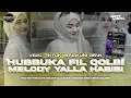 Lagu DJ HUBBUKA FIL QOLBI PARTY VELOCITY VIRAL FYP TIKTOK SENGKUNI GENK - IRPAN DISCJOKEY