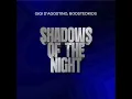 Download Lagu Gigi D'Agostino Ft. Boostedkids - Shadows Of The Night (Extended)